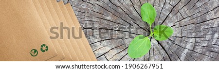 Renewable energy sources concept. Recycling paper bag brown shopping, that do not cause harm to the environment. Rising sprout from old wood and symbolizes the struggle for new life. Eco packaging. Royalty-Free Stock Photo #1906267951