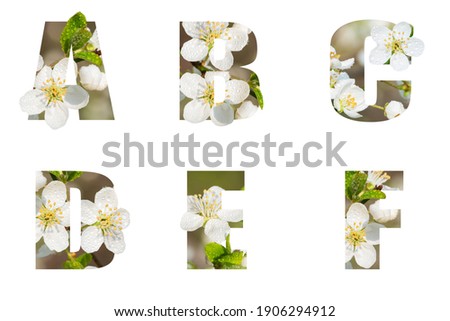 Floral letters. The letters A, B, C, D, E F are made from flower photos. A collection of wonderful flora letters for unique spring decorations and various creation ideas. clipping path