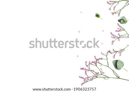 Flowers composition. Frame made of pink gypsophila flowers and eucalyptus branches on white background. Flat lay, top view, copy space. High quality photo