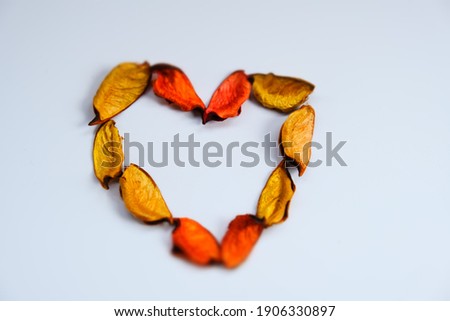 close up heart photo, The heart made with orange, yellow rose petals on isolated white background, selective focus