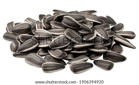 sunflower seed, isolated on white background, clipping path, full depth of field