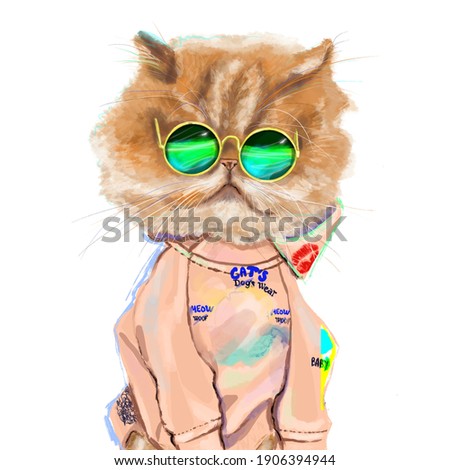 Hand-drawn funny fashion illustration of a Persian cat, in a trendy outfit: in a sweatshirt hoodie, sunglasses. Cute gift postcard for all pets lovers. Wall art print