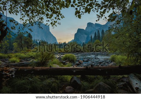 Fallen log framed by leaves at Yosemite National Park. El Capitan and Cathedral Rock in background 