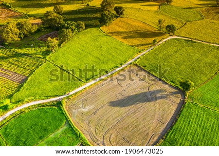 Aerial image of ripen rice fileds in Ta Pa, Bay Nui , An Giang - Vietnam
