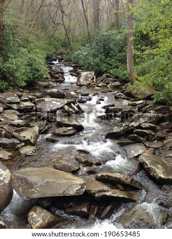 Stream in Great Smoky Mountains National Park
