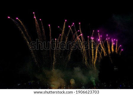 Fireworks over an park in the night sky