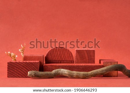 Minimalist natural background for cosmetic products. Terracotta wooden podiums, dry flower and branche of a tree.
