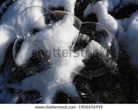colorful soap bubble lies on a snowy branch