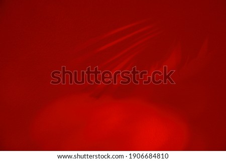 Palm  leaf shadow on red wall background. Flat lay. Minimal summer concept with palm tree leaf. Creative . with copy space.