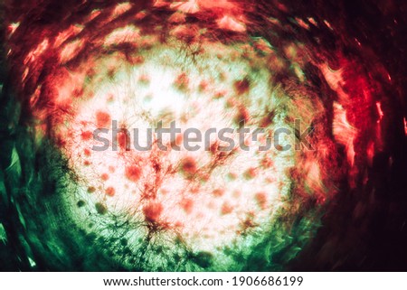 Beautiful multi colored abstract bokeh optical light bokeh on a dark background.	