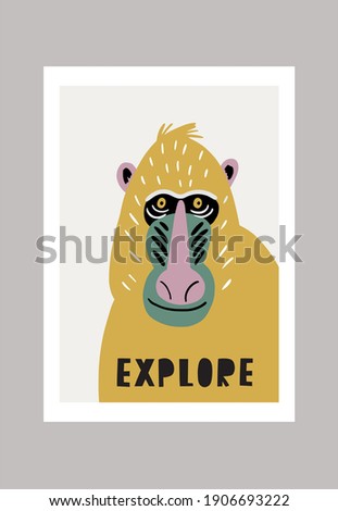 Cute vector primates in flat style.  Mandrill - primates cartoon character. Vector print in modern style Royalty-Free Stock Photo #1906693222