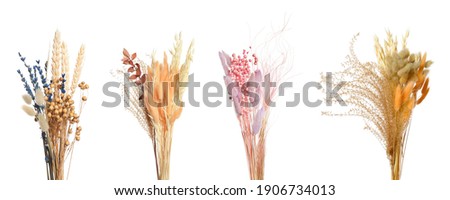Set with beautiful decorative dry flowers on white background, banner design  Royalty-Free Stock Photo #1906734013