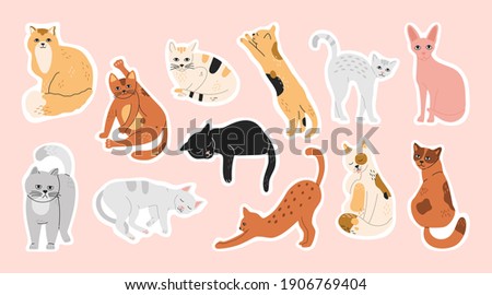Big bundle of stickers with sleeping, funny, cute cats. Pins set of domestic pets, collection of washing kitty, hand drawn modern flat cartoon illustration in pastel colors isolated on pink background
