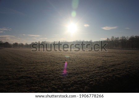 Bright sunlight illuminates a Dutch pasture landscape. Photo was taken on a cold winter morning.