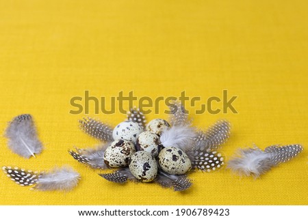 Traditional holiday grey, brown quail eggs in nest of feathers on yellow background, closeup. trend 2021. copy space, place for text