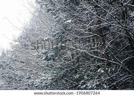 Winter Landscape outside Radom, Poland