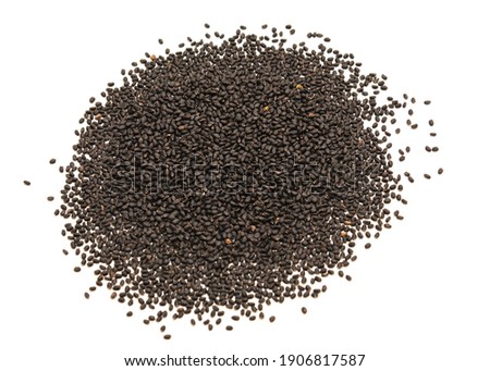 Handful mound of basil seeds isolated on white background. Homegrown organic Italian sweet dark purple opal basil ready for planting