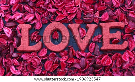 Top view of beautiful valentines day background with bright sparkly love word among red and pink dry rose petals.