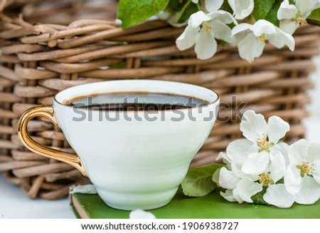 Spring. Beautiful still life, spring card. Apple tree flowers and a cup of coffee lie surrounded by flowers on a white background. Good morning, concept.