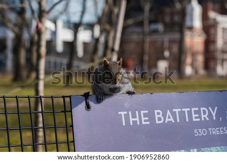 A squirrel climbing on top of a fence with signage, in Battery Park