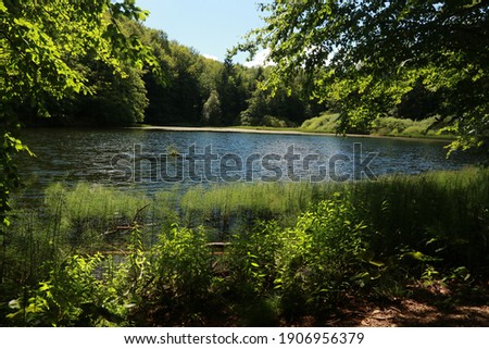 Duszatynskie lakes, mountain lakes in Bieszczady Mountains, Poland