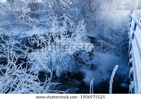 Christmas Lace.Nothern Winter Calm River With Reflection Of Trees,Covered With Hoarfrost And Snow That Falls On Beautiful Pink Morning Light Lace. Russian Winter Landscape In Pink Tones With River.