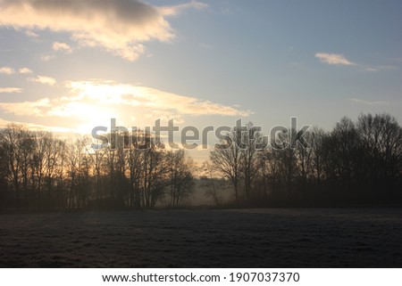 Bright rays of sunlight shine through a forest edge over pasture. Photo was taken on a cold morning in winter.