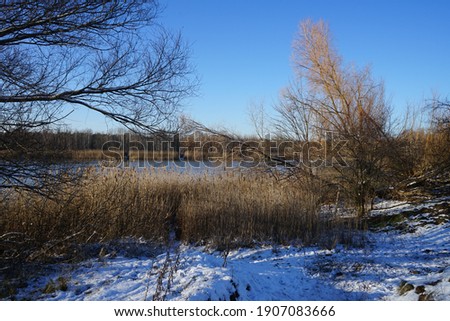 Winter snowy landscape with wonderful vegetation in the recreation area of Berliners at Lake Habermannsee in January. Berlin, Germany 