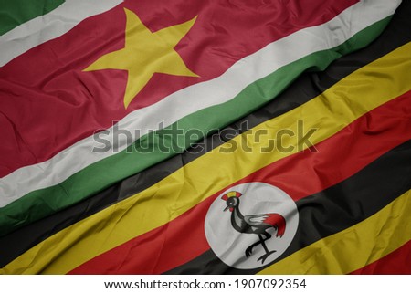 waving colorful flag of uganda and national flag of suriname. macro