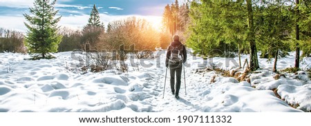 Popular winter outdoor activities. Male hiker hiking with backpack and Nordic walking poles in the snow. Royalty-Free Stock Photo #1907111332
