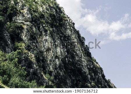 Mountain with forest in Montenegro close up
