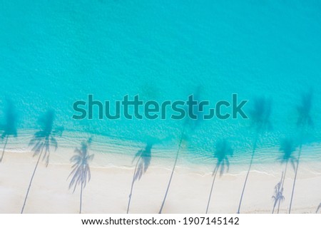 Palm trees shadow on the sandy beach and turquoise ocean from above. Amazing summer nature landscape. Stunning sunny beach scenery, relaxing peaceful and inspirational beach vacation template Royalty-Free Stock Photo #1907145142