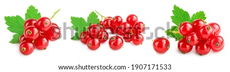 Red currant berries with leaf isolated on white background. Set or collection Royalty-Free Stock Photo #1907171533