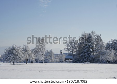 Beautiful winter landscape with trees that are covered with frost