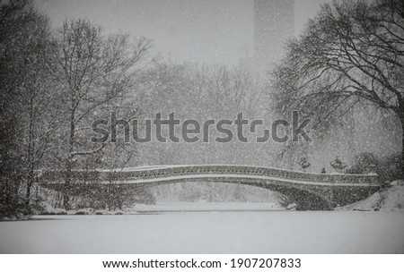 Romantic photos of Central Park in the Snow, New York, New York