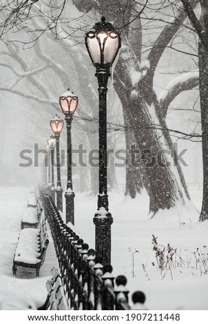 Romantic photos of Central Park in the Snow, New York, New York