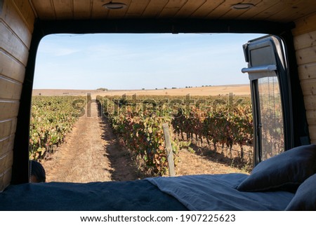 Vineyard view from inside a sel converted camper van living van life in Alentejo, Portugal