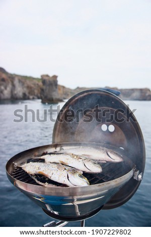 BBQ fish on the side of a yacht looking out to sea. Closeup focused image of fish being cooked on a barbecue.  Royalty-Free Stock Photo #1907229802