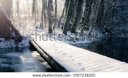 Track on a snowy wooden bridge