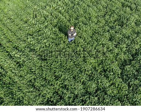 Young agronomist in the soy field