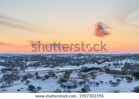 Snow scenery of grassland and forest
