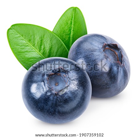 Ripe blueberry with green leaf clipping path. Organic fresh blueberry isolated on white. Full depth of field Royalty-Free Stock Photo #1907359102