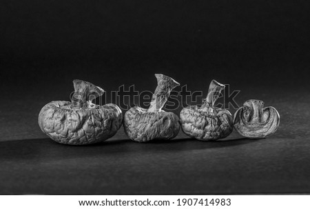 Close up of dried button mushrooms placed in a row and shot from front angle. Black and white still life photo of mushroom, food ingredient.