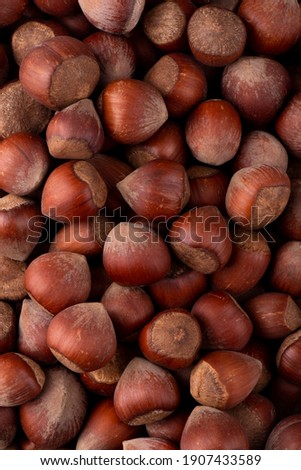 healtly delicious hazelnuts in bulk