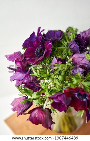 Magenta and violet gradient poppies anemones. Many flowers - great background. the work of the florist at a flower shop. Delivery fresh cut flower. European floral shop.