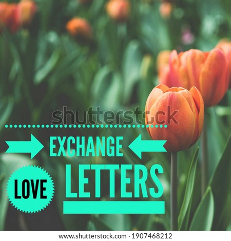 Valentine's day Love letter text picture .jpg