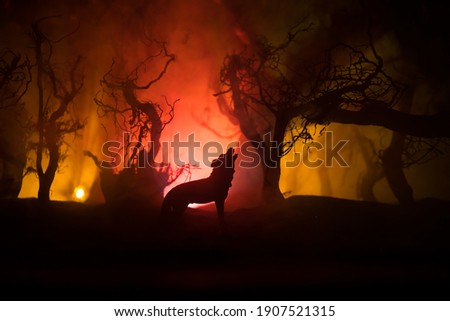 Silhouette of howling wolf against burning forest skyline and. Creative artwork decoration. Selective focus