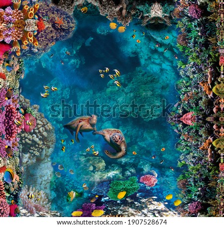 Image for 3d floor. Images for self-leveling floors. Corals, Turtle Corals. Top view.Underwater world.