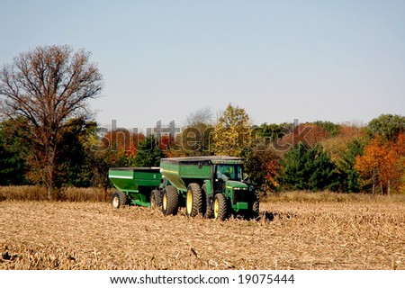 Tractor with trailer collection corn in fall.