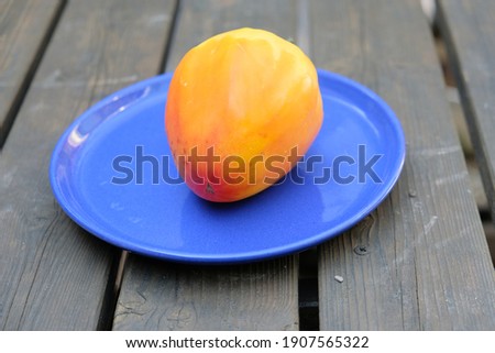 the yellow ox heart tomato lies on a blue plate